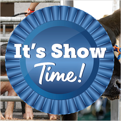 It's Show Time Image